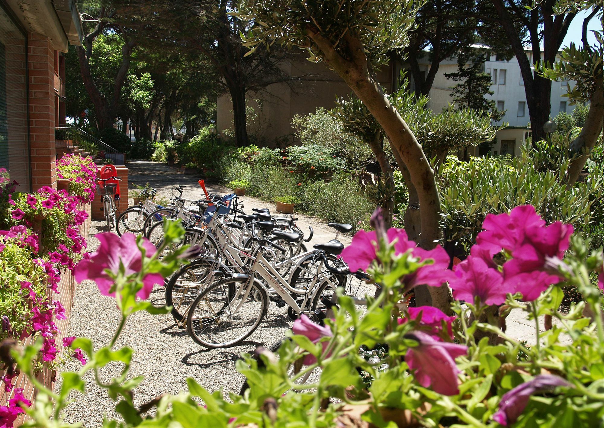 Ricci Hotel - Marina Di Grosseto Εξωτερικό φωτογραφία